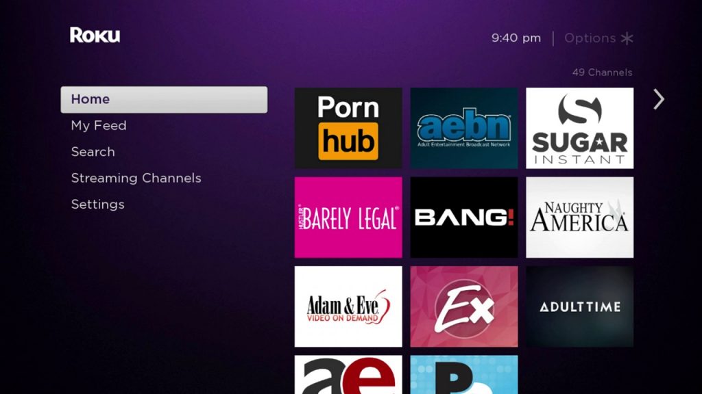 Roku Porn Home Screen